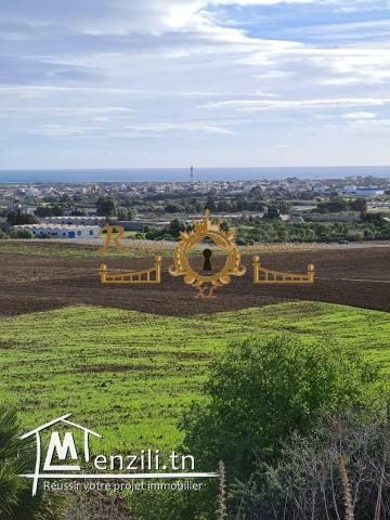 3380 م² ب 120مليون أكهو