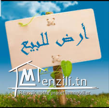 Terrain à kalaat andalous/ariana