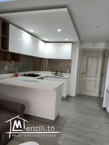 Luxueux S+1 Tout Neuf à Menzah9C