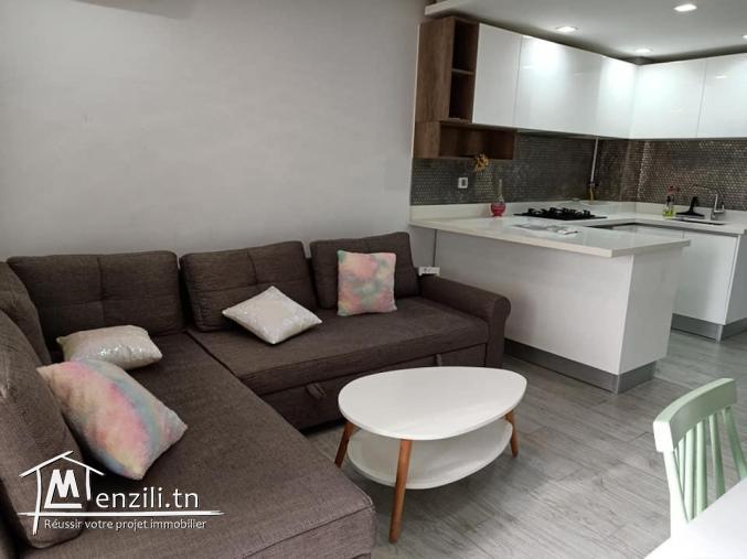 Luxueux S+1 Tout Neuf à Menzah9C