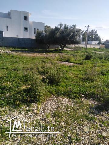 Un très bon lot pour construction