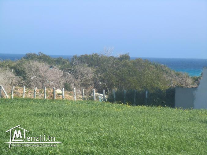 2 eme position a la plage ezzahra