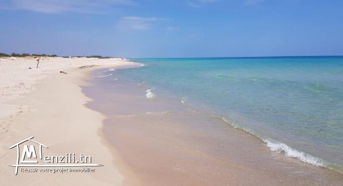1 Hectare sur la route principale qui mène à la plage et 1ére position à Tazarka