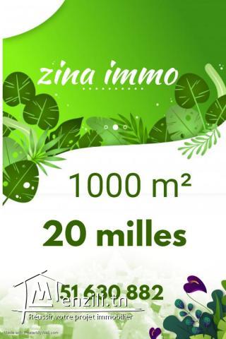 terrain a vendre a tamizret-kelibia