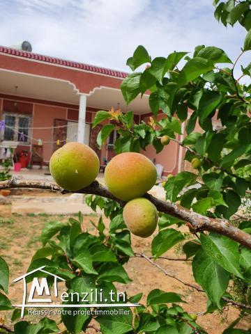 Maison et terrain