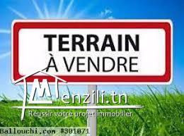 قطع أراضي مقسّمة  صالحة للبناء