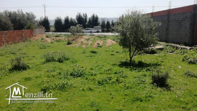 1417 m2 3la trig beja hammem sayela