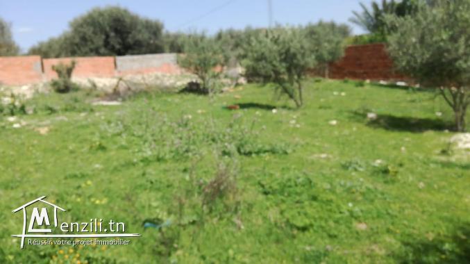 1417 m2 3la trig beja hammem sayela