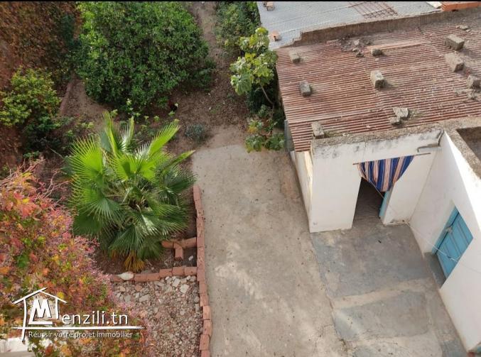 Pack maisons et locaux commerciaux