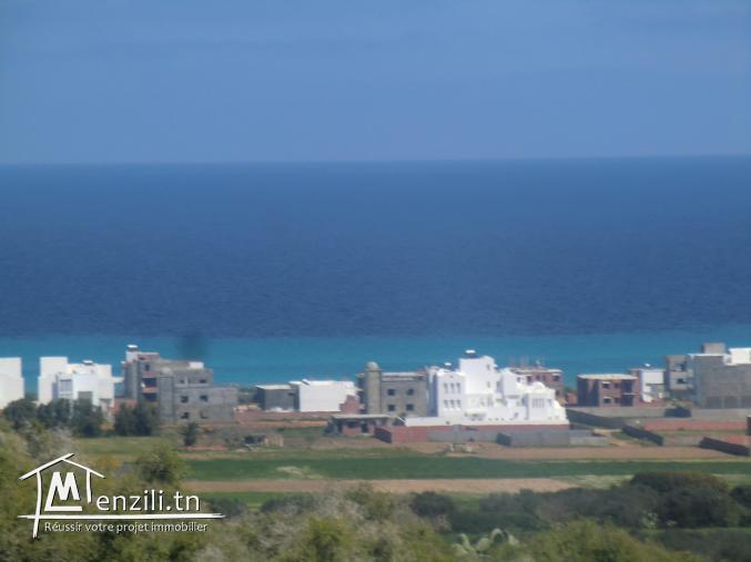 vu panoramique a la plage offre a ne pas raté