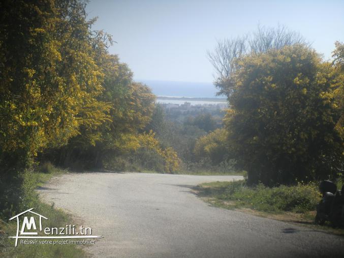 vu panoramique a la plage offre a ne pas raté