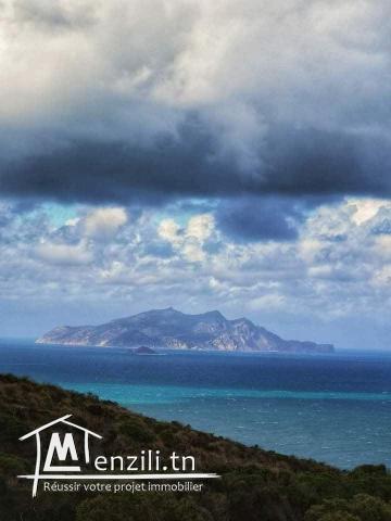 1200m² sur une coline vu panoramique  a la plage