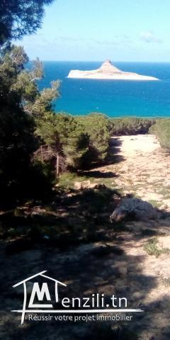 Villa à rafraf plage lehmeri forêt