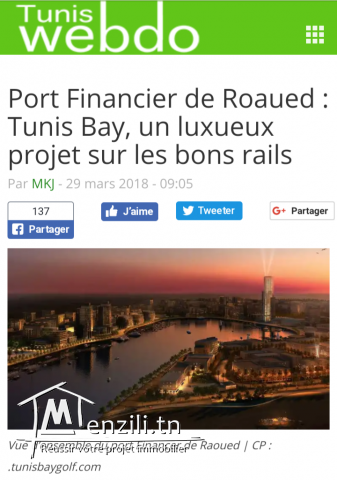 Terrain prés du port financier à Raoued