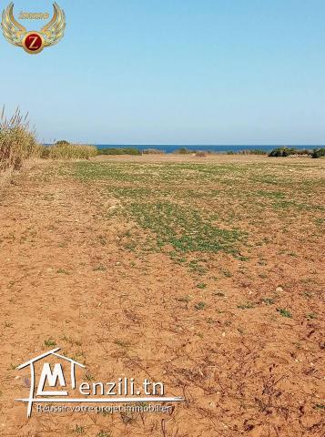 terrain a vendre à Dar Allouch-kélibia