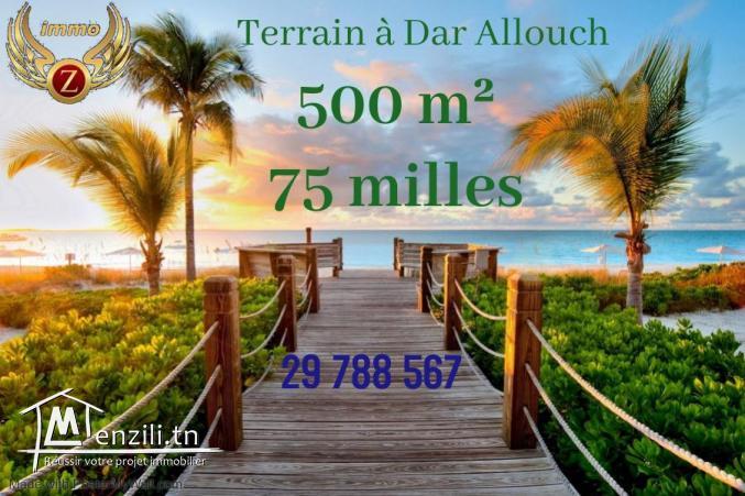 terrain a vendre à Dar Allouch-kélibia