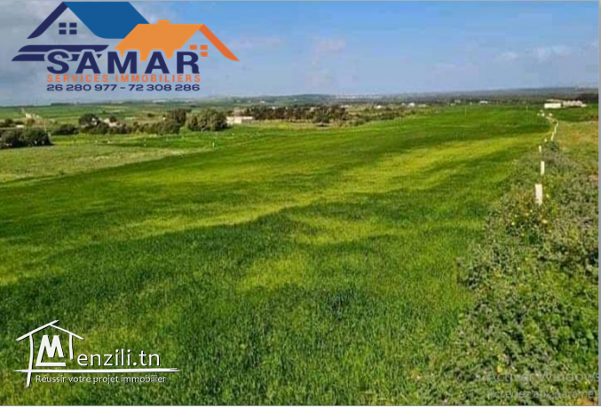 terrain de 8000 m² a tamozrat kelibia