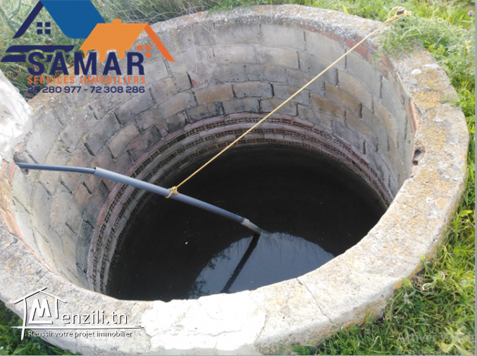 terrain de 8000 m² a tamozrat kelibia