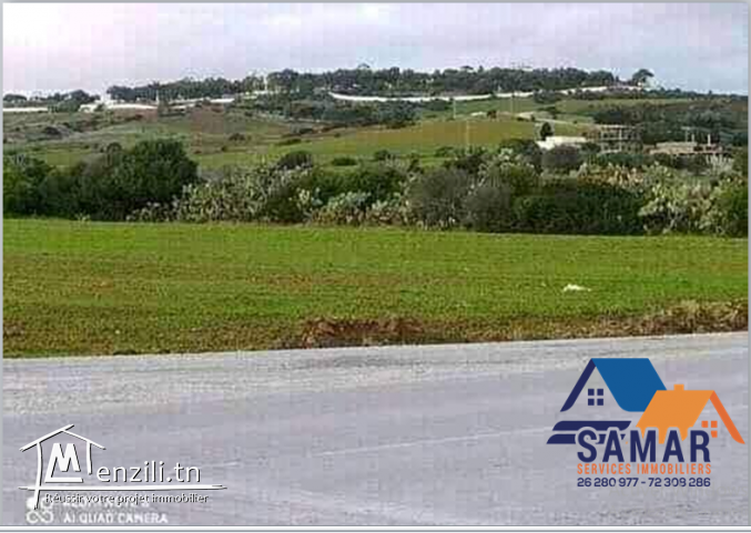 terrain de 8000 m² a tamozrat kelibia