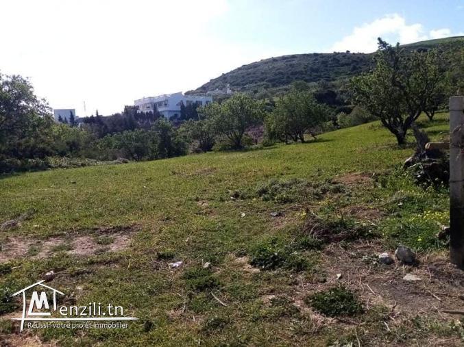 des lots de 150 m2 prix M de 150 DT à 210 DT