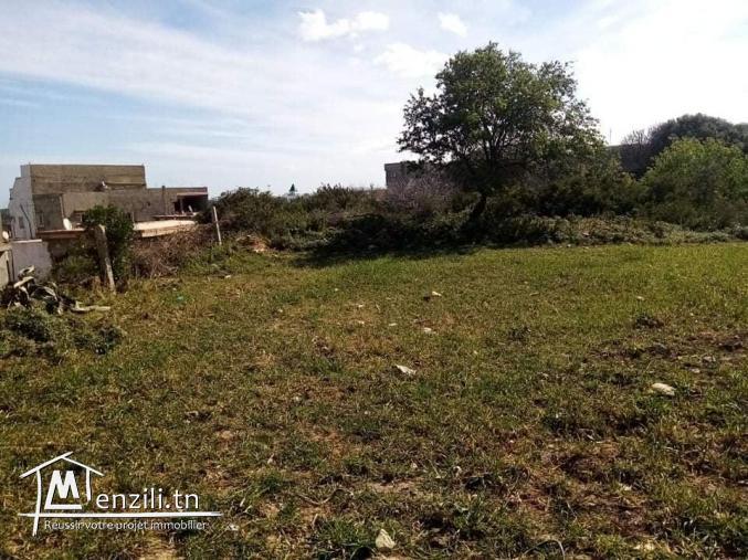 des lots de 150 m2 prix M de 150 DT à 210 DT