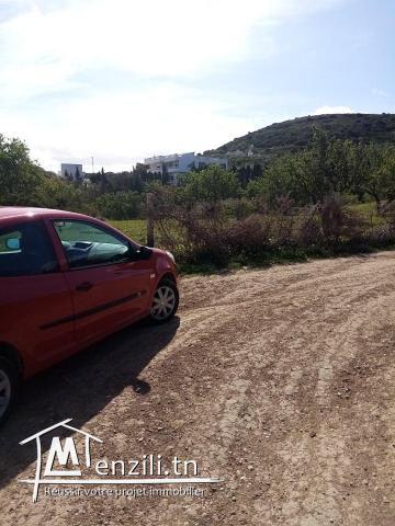 des lots de 150 m2 prix M de 150 DT à 210 DT