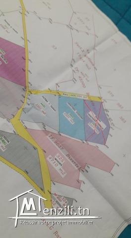 des lots de 150 m2 prix M de 150 DT à 210 DT