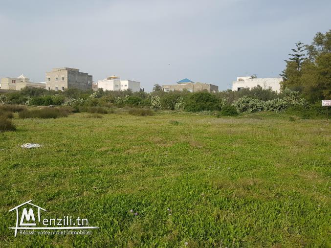 Terrain pied dans l l'eau