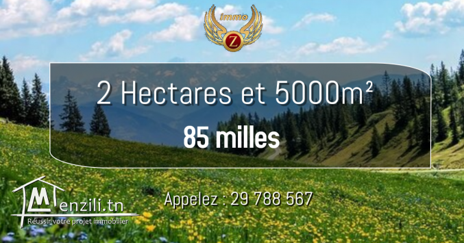 terrain a vendre à SIDI MADHKOUR-DAR ALLOUCH