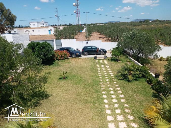 A vendre campagne Hammamet Sud à moins d'un km des plages