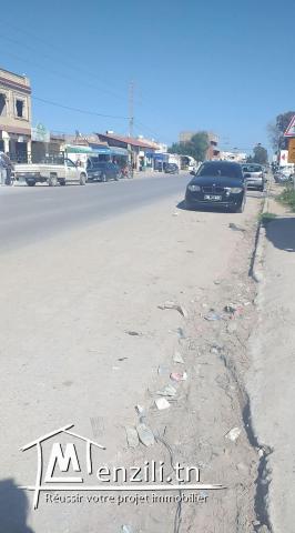 Terrain commercial oued ellil