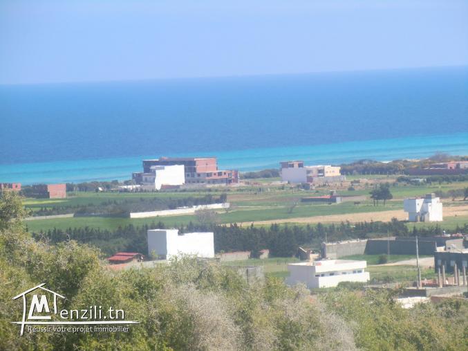 terrain a vendre situé a tomzrate kelibia vu panoramique