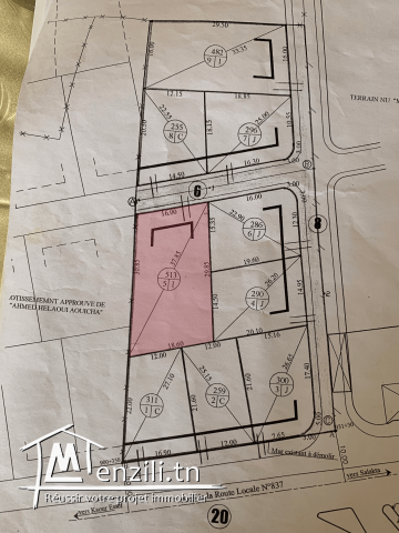 Terrain Vendre Salakta