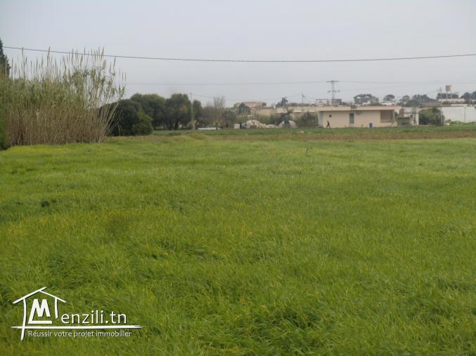 4000m² a vendre seuelement a 65000 dt
