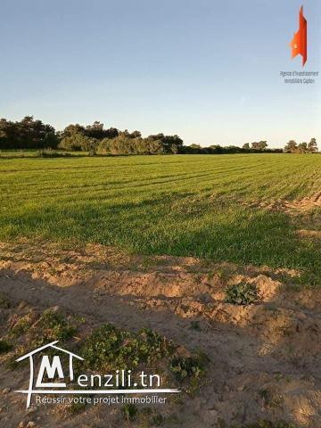 terrain agricole de 2,7 hectares