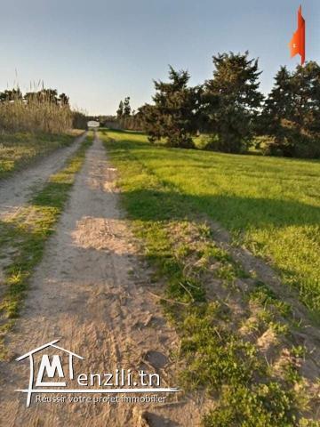 terrain agricole de 2,7 hectares