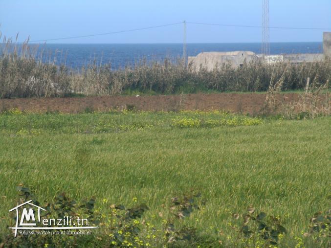 3000m² sr la route v zimbra et zembretta