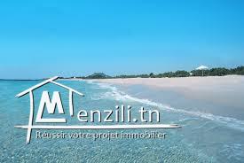 2 eme positiona la plage ezzahra kelibia