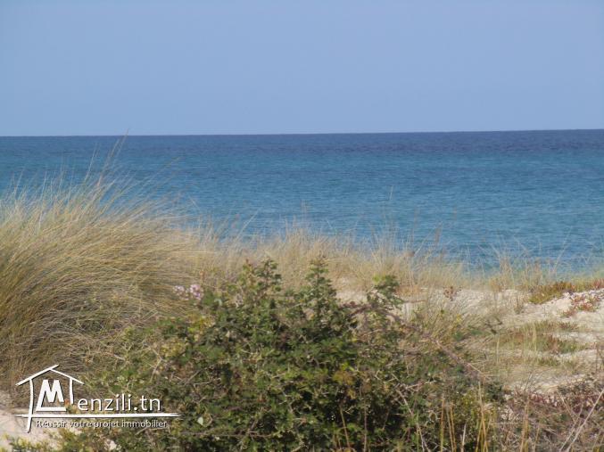 2 eme positiona la plage ezzahra kelibia