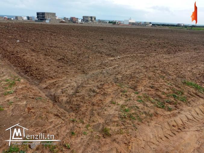 terrain à zahra-kelibia!!