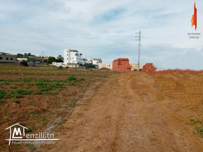 terrain à zahra-kelibia!!