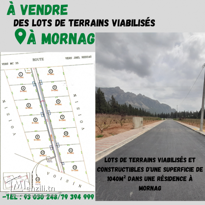 Lots de terrains viabilisés à El Fendria, Mornag