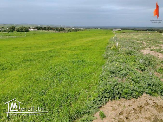 terrain agricole de 500 m2 
