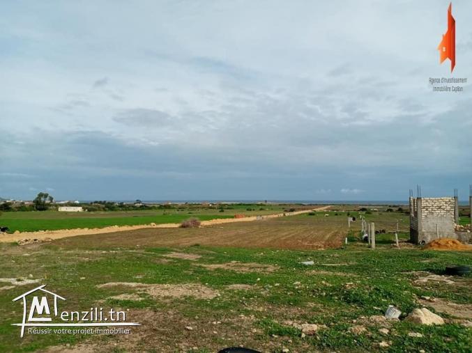 terrain agricole à  dar allouche dans un beaux endroit 