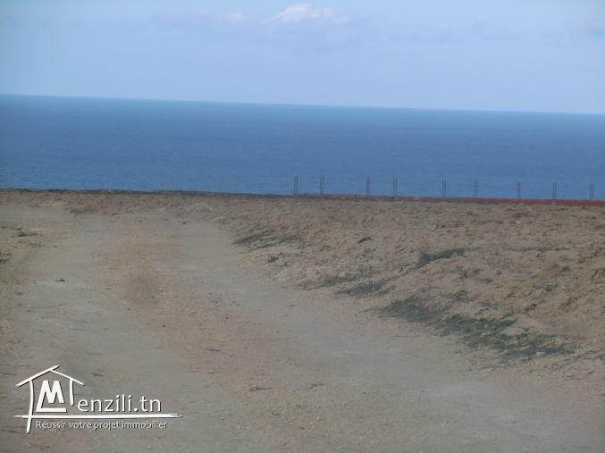 vu panoramique sur une coline