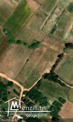 Av terrain aménagé plage el haouaria