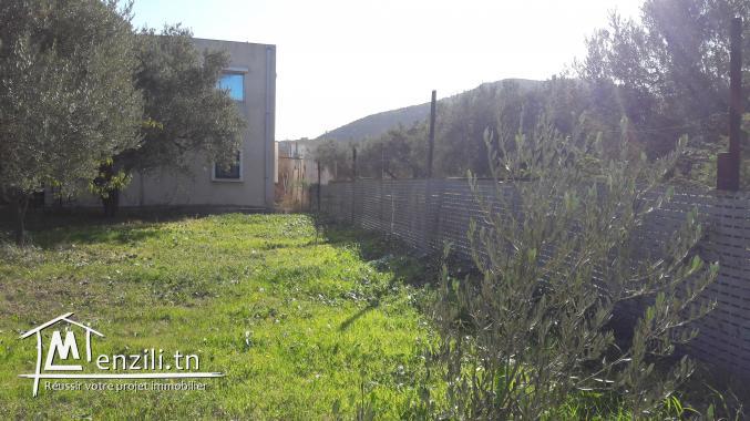 villa avec piscine 1400 m