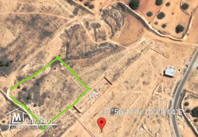 Vente terrain a cité mahrajene