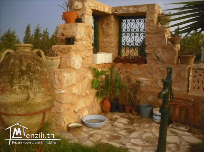 Maison de maître avec piscine