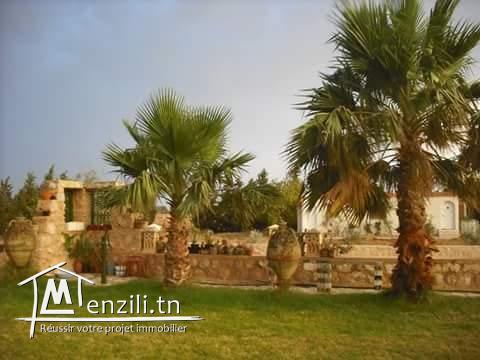 Maison de maître avec piscine